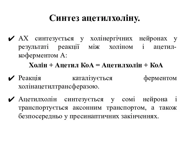 Синтез ацетилхоліну. АХ синтезується у холінергічних нейронах у результаті реакції між