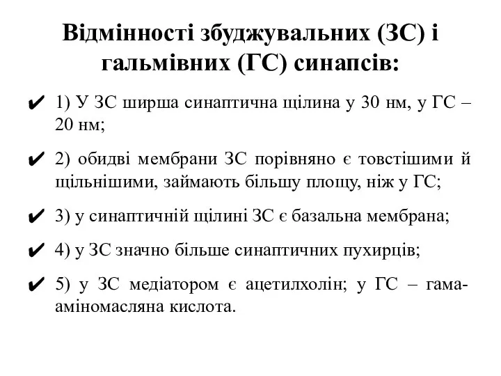 Відмінності збуджувальних (ЗС) і гальмівних (ГС) синапсів: 1) У ЗС ширша