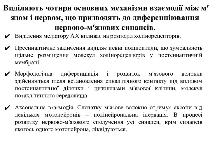 Виділяють чотири основних механізми взаємодії між м′язом і нервом, що призводять