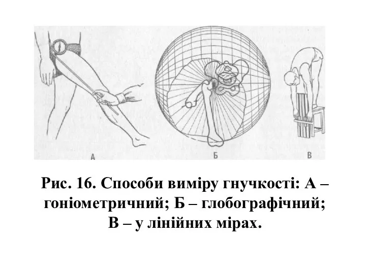 Рис. 16. Способи виміру гнучкості: А – гоніометричний; Б – глобографічний; В – у лінійних мірах.