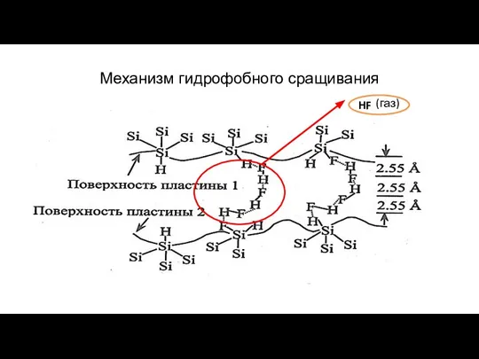 Механизм гидрофобного сращивания HF (газ)