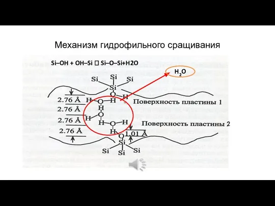 Механизм гидрофильного сращивания 2 H2O Si–OH + OH–Si  Si–O–Si+H2O