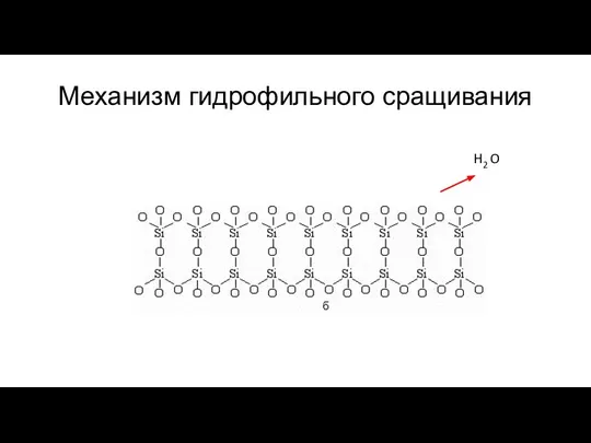 Механизм гидрофильного сращивания H2 O