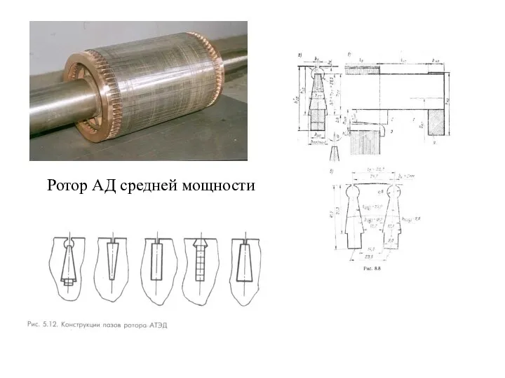 Ротор АД средней мощности