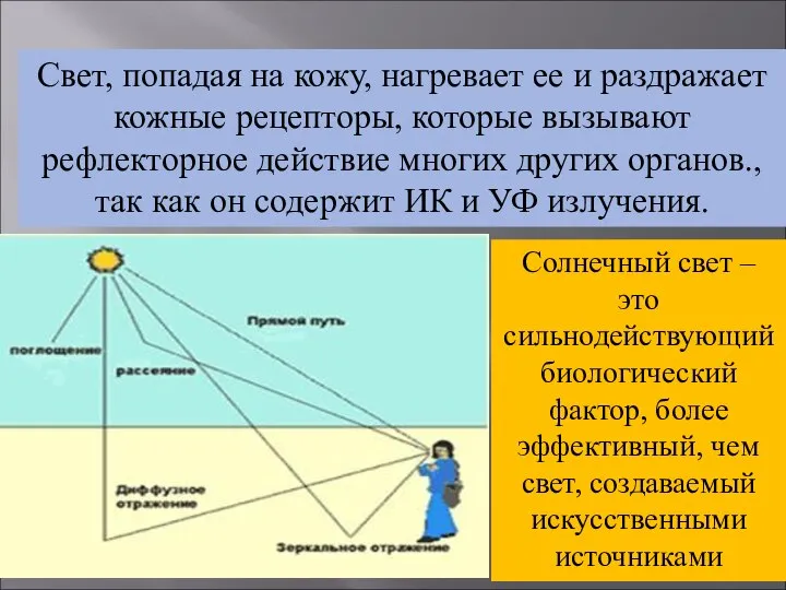 Свет, попадая на кожу, нагревает ее и раздражает кожные рецепторы, которые