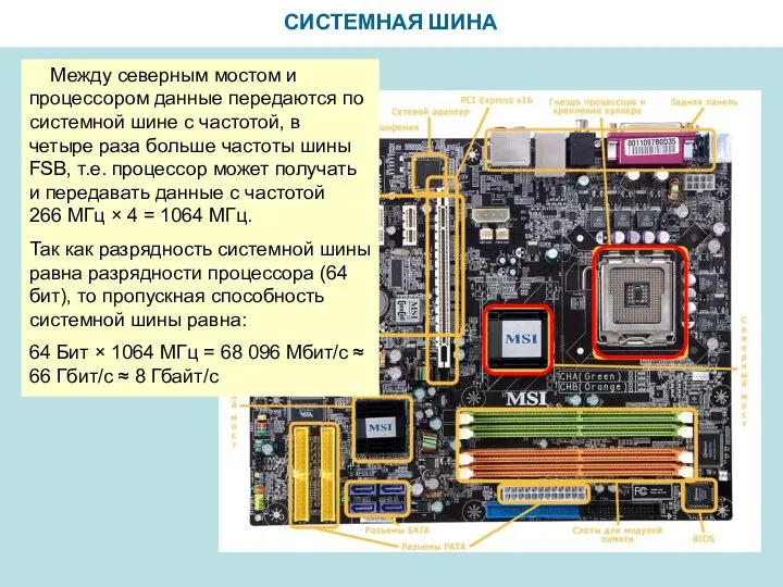 СИСТЕМНАЯ ШИНА Между северным мостом и процессором данные передаются по системной