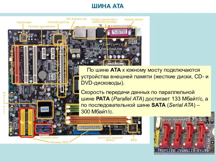 ШИНА ATA По шине АТА к южному мосту подключаются устройства внешней