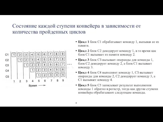 Состояние каждой ступени конвейера в зависимости от количества пройденных циклов Цик­л