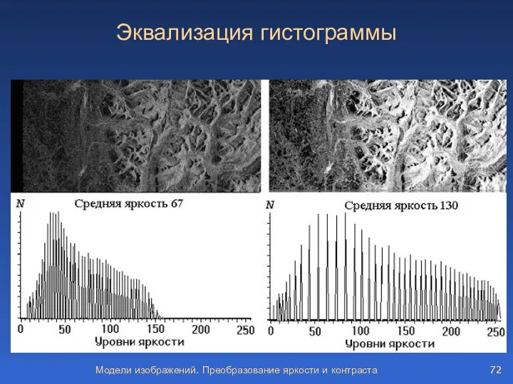 Модели изображений. Преобразование яркости и контраста Эквализация гистограммы