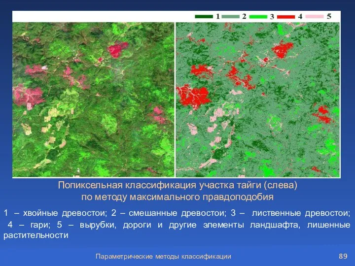 Параметрические методы классификации Попиксельная классификация участка тайги (слева) по методу максимального