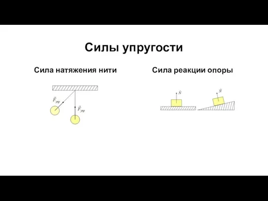 Силы упругости Сила натяжения нити Сила реакции опоры