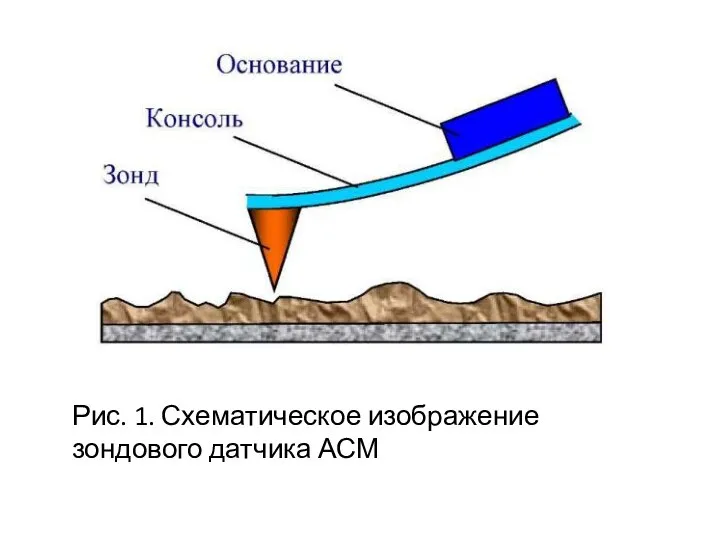 Рис. 1. Схематическое изображение зондового датчика АСМ