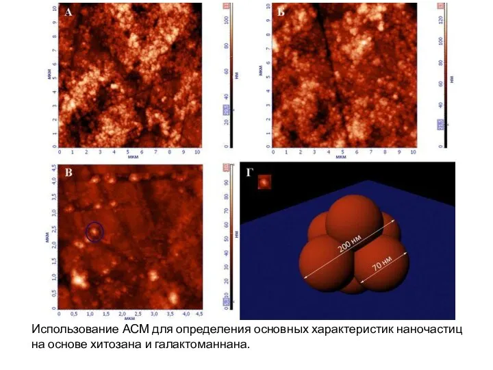 Использование АСМ для определения основных характеристик наночастиц на основе хитозана и галактоманнана.