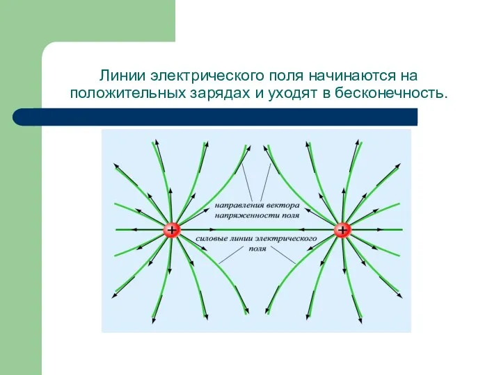 Линии электрического поля начинаются на положительных зарядах и уходят в бесконечность.