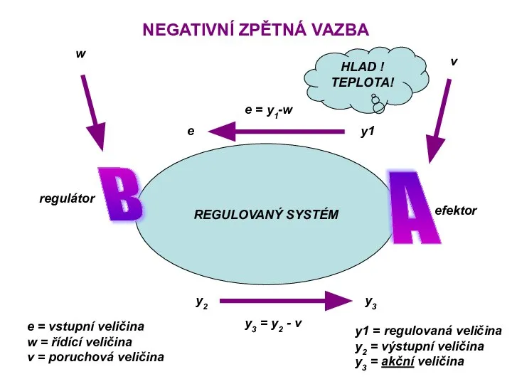 NEGATIVNÍ ZPĚTNÁ VAZBA REGULOVANÝ SYSTÉM A B e = y1-w y1