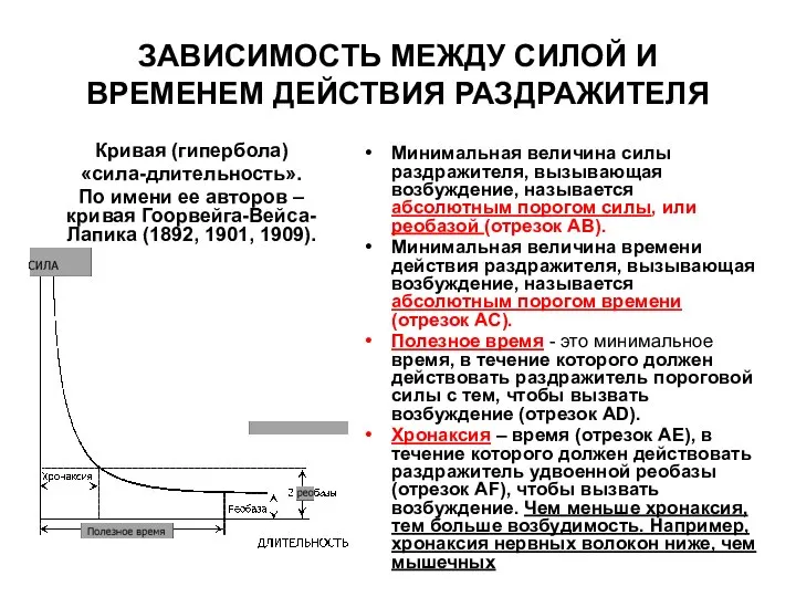 ЗАВИСИМОСТЬ МЕЖДУ СИЛОЙ И ВРЕМЕНЕМ ДЕЙСТВИЯ РАЗДРАЖИТЕЛЯ Минимальная величина силы раздражителя,