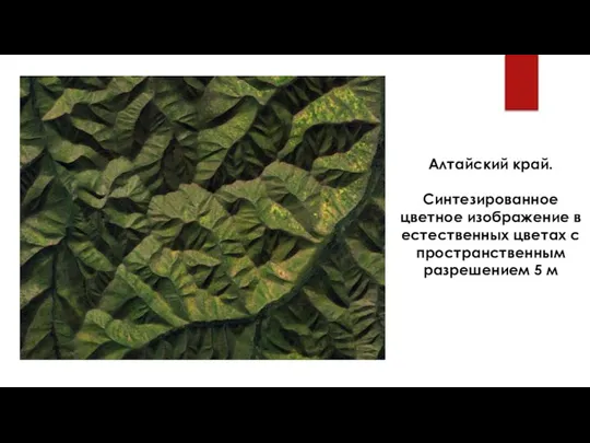 Алтайский край. Синтезированное цветное изображение в естественных цветах с пространственным разрешением 5 м