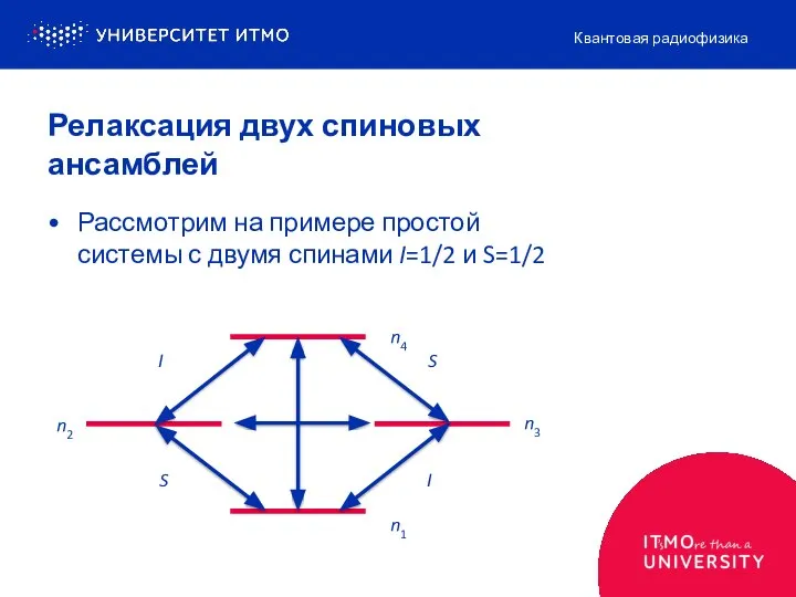 Релаксация двух спиновых ансамблей Рассмотрим на примере простой системы с двумя