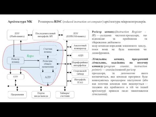 Архітектура МК Розширена RISC (reduced instruction set computer) архітектура мікроконтролерів. Ядро