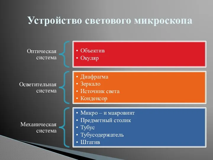 Устройство светового микроскопа