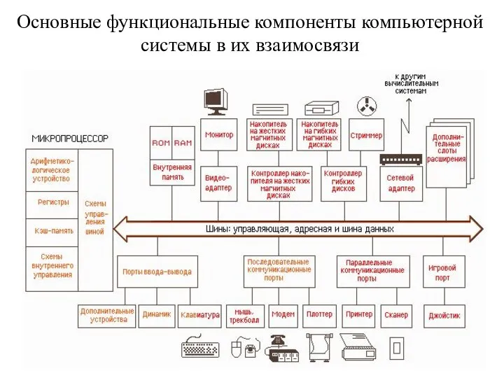 Основные функциональные компоненты компьютерной системы в их взаимосвязи