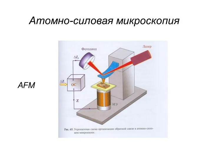 Атомно-силовая микроскопия AFM