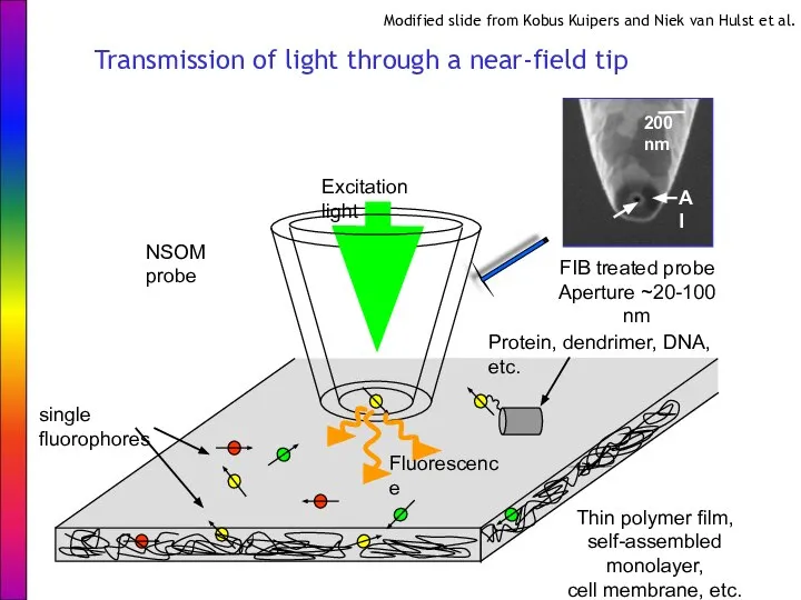 Thin polymer film, self-assembled monolayer, cell membrane, etc. single fluorophores NSOM
