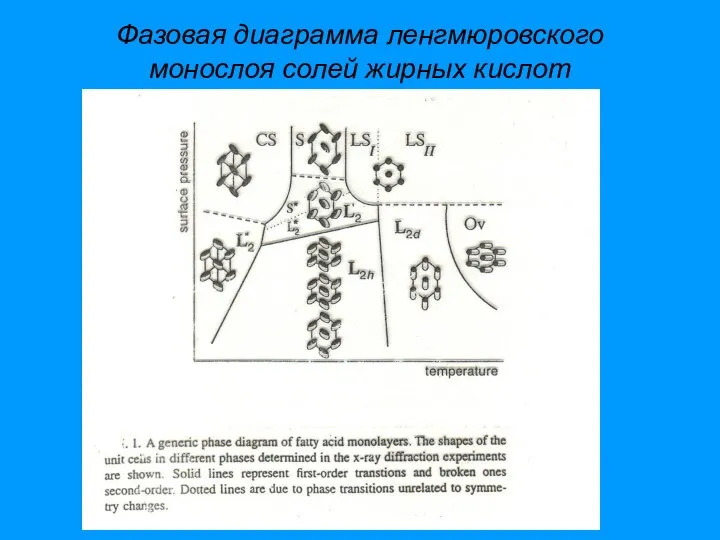 Фазовая диаграмма ленгмюровского монослоя солей жирных кислот