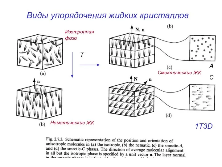 Виды упорядочения жидких кристаллов 1T3D Т Нематические ЖК Смектические ЖК А С Изотропная фаза