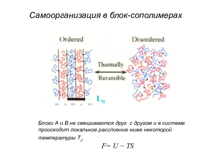 Самоорганизация в блок-сополимерах Блоки А и В не смешиваются друг с