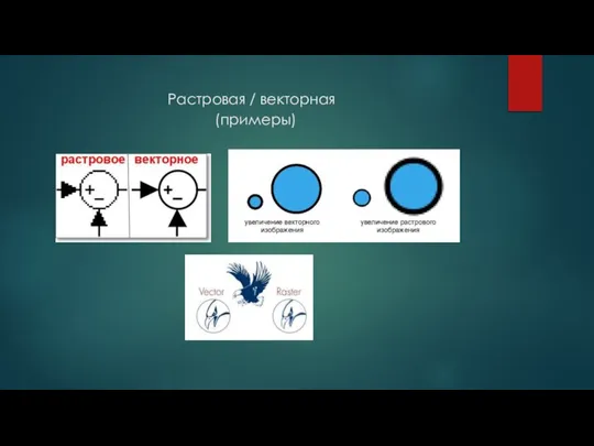 Растровая / векторная (примеры)