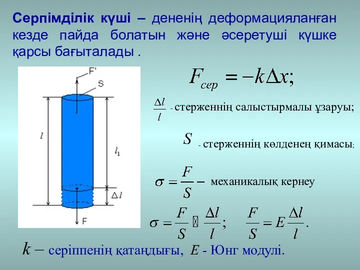 Серпімділік күші – дененің деформацияланған кезде пайда болатын және әсеретуші күшке