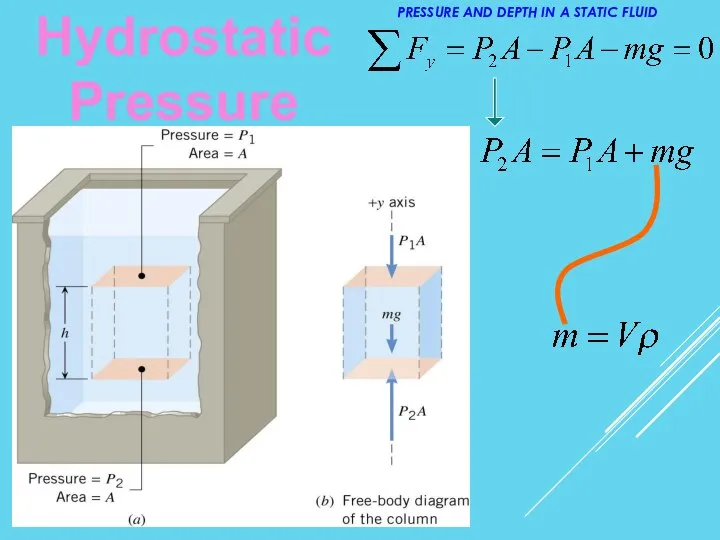 Hydrostatic Pressure PRESSURE AND DEPTH IN A STATIC FLUID