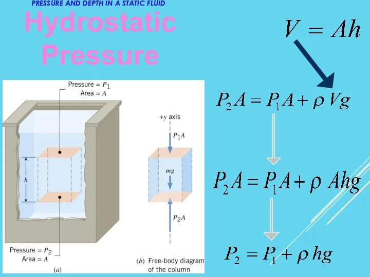 Hydrostatic Pressure PRESSURE AND DEPTH IN A STATIC FLUID