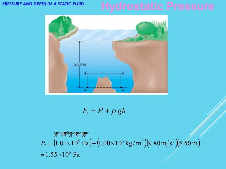 PRESSURE AND DEPTH IN A STATIC FLUID Hydrostatic Pressure