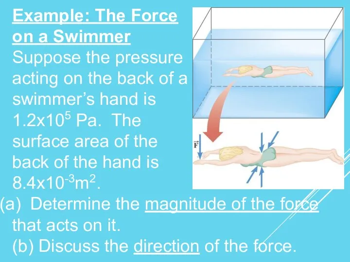 Example: The Force on a Swimmer Suppose the pressure acting on