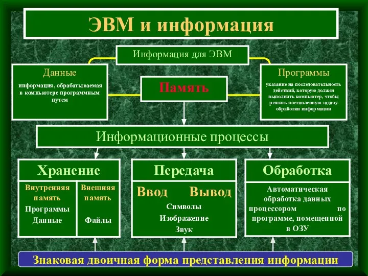 ЭВМ и информация Информационные процессы Знаковая двоичная форма представления информации Информация