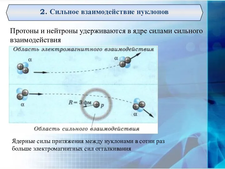 2. Сильное взаимодействие нуклонов Протоны и нейтроны удерживаются в ядре силами