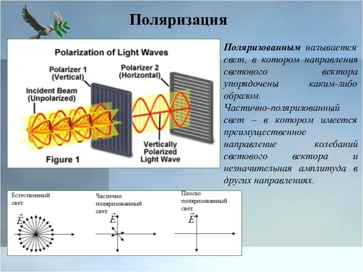 Поляризованным называется свет, в котором направления светового вектора упорядочены каким-либо образом.