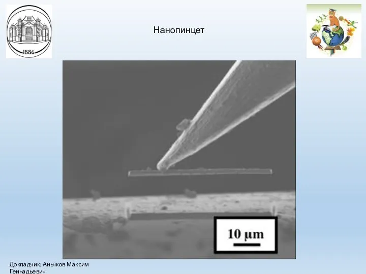 Нанопинцет Докладчик: Аньчков Максим Геннадьевич