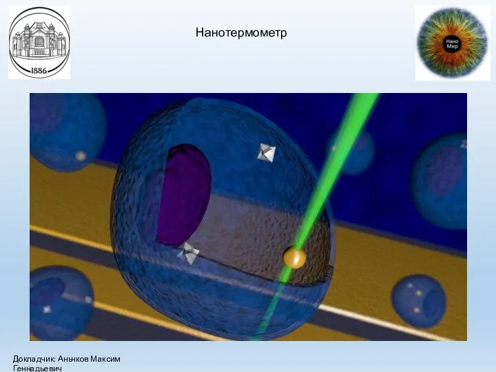 Нанотермометр Докладчик: Аньчков Максим Геннадьевич