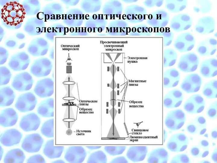 Сравнение оптического и электронного микроскопов