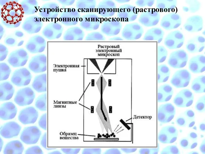 Устройство сканирующего (растрового) электронного микроскопа