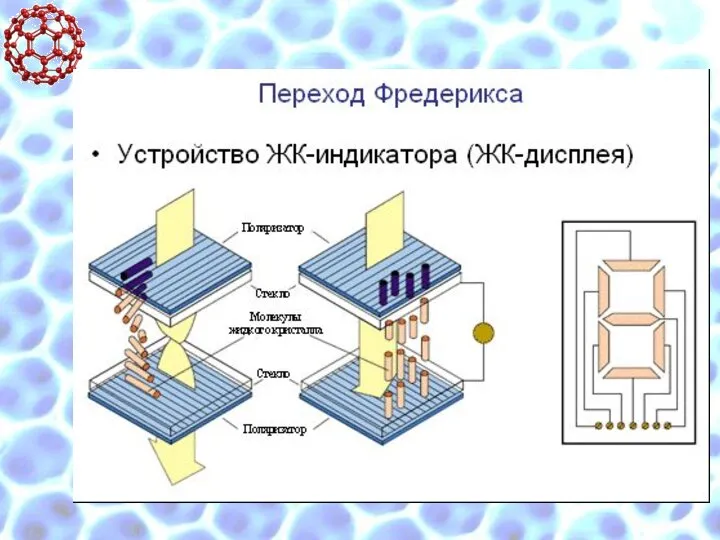 Переход Федерикса