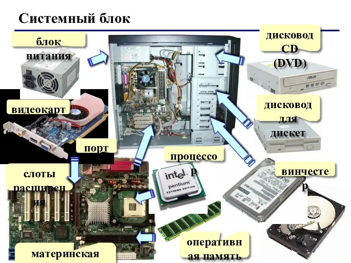 Системный блок блок питания видеокарта порты слоты расширения материнская плата процессор