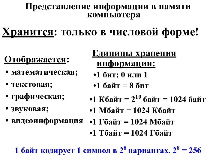 Представление информации в памяти компьютера Отображается: математическая; текстовая; графическая; звуковая; видеоинформация