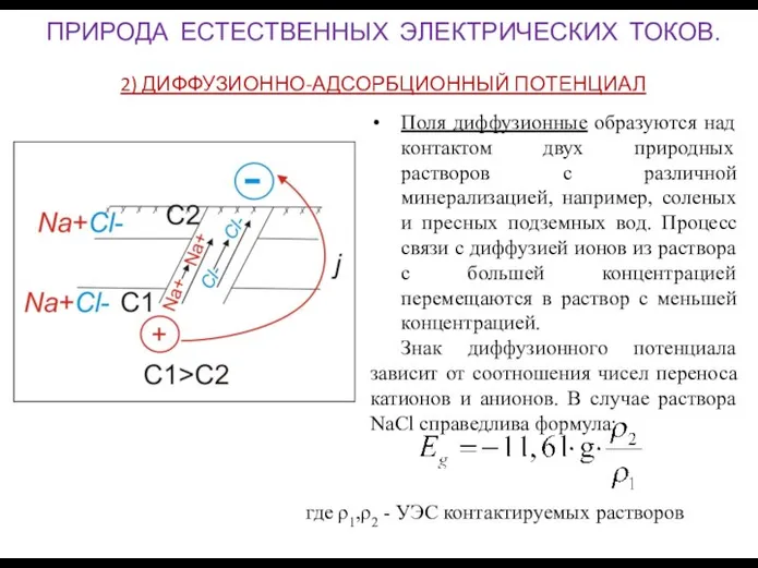 ПРИРОДА ЕСТЕСТВЕННЫХ ЭЛЕКТРИЧЕСКИХ ТОКОВ. 2) ДИФФУЗИОННО-АДСОРБЦИОННЫЙ ПОТЕНЦИАЛ Поля диффузионные образуются над