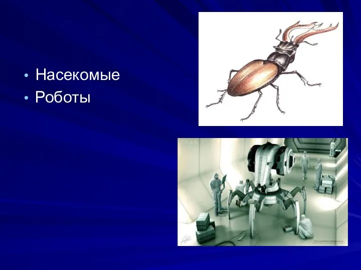 Насекомые Роботы