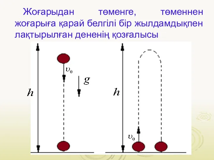 Жоғарыдан төменге, төменнен жоғарыға қарай белгілі бір жылдамдықпен лақтырылған дененің қозғалысы