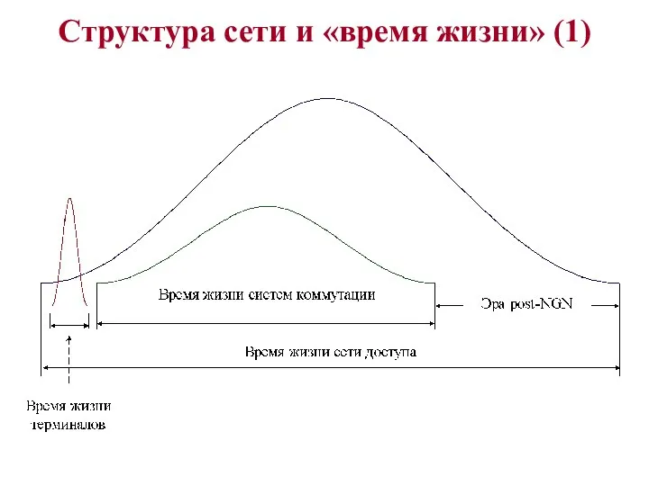 Структура сети и «время жизни» (1)